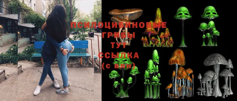 Галлюциногенные грибы MAGIC MUSHROOMS  магазин продажи   Аткарск 